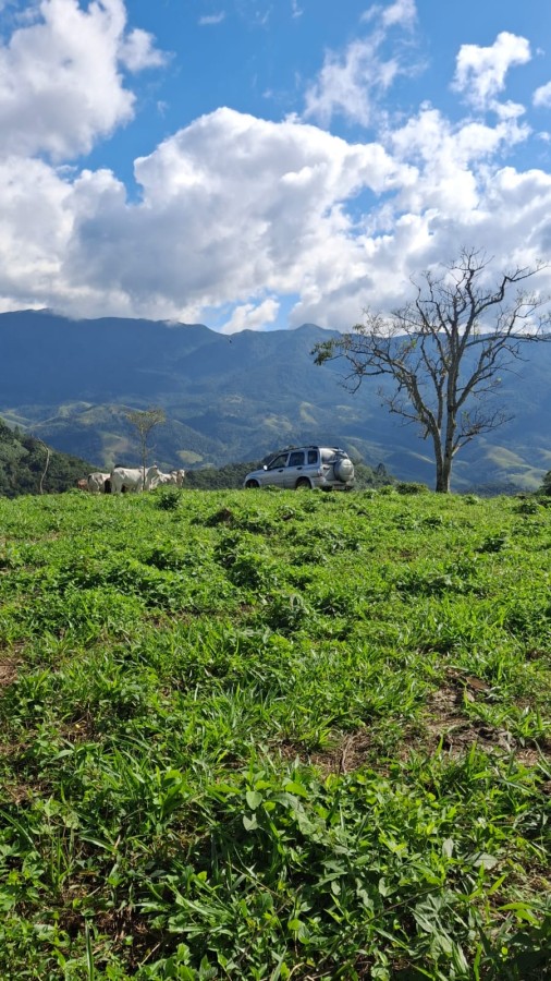 Terreno, 11 m² - Foto 5