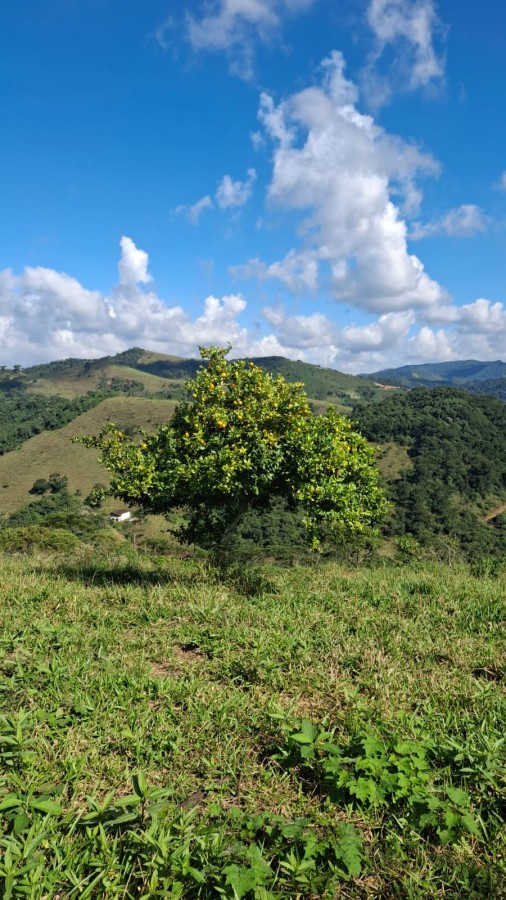 Terreno, 11 m² - Foto 11