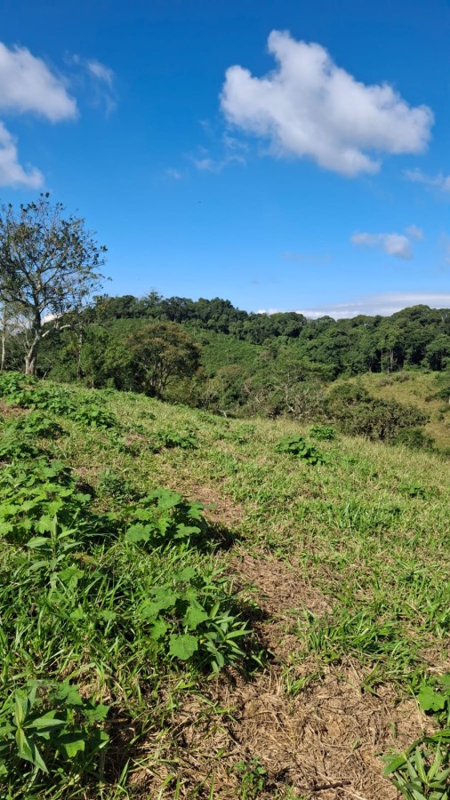 Terreno, 11 m² - Foto 13
