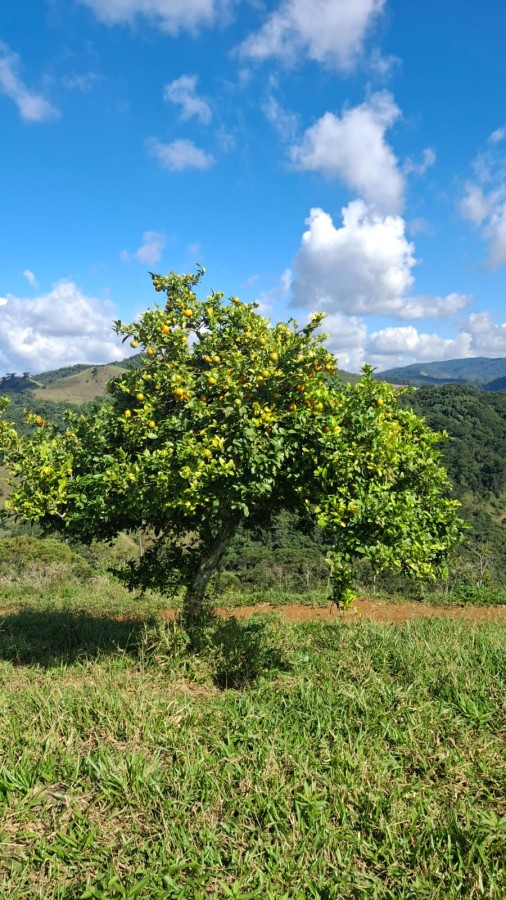 Terreno, 11 m² - Foto 12