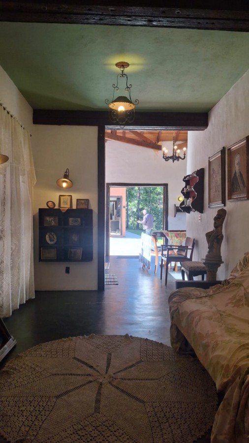 Terreno, 3 hectares - Foto 7