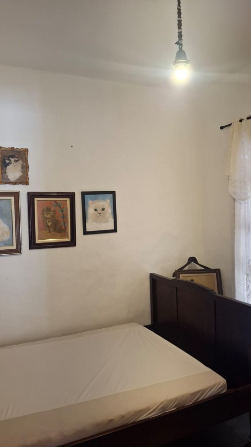Terreno, 3 hectares - Foto 17
