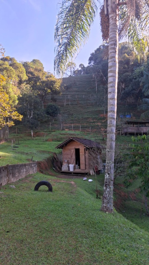 Terreno, 3 hectares - Foto 27